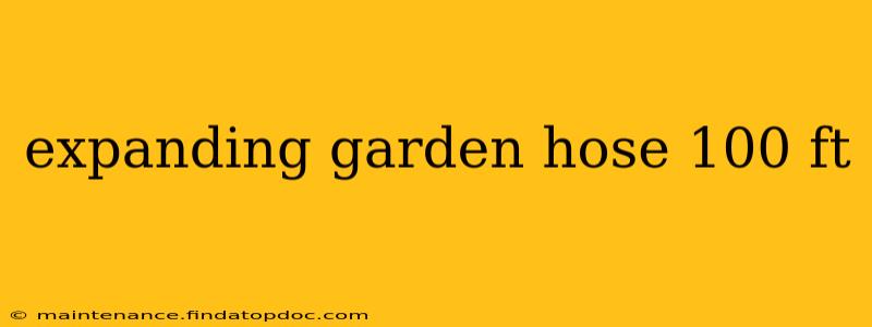 expanding garden hose 100 ft