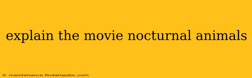 explain the movie nocturnal animals