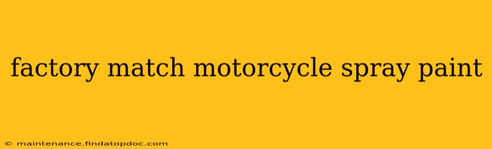 factory match motorcycle spray paint