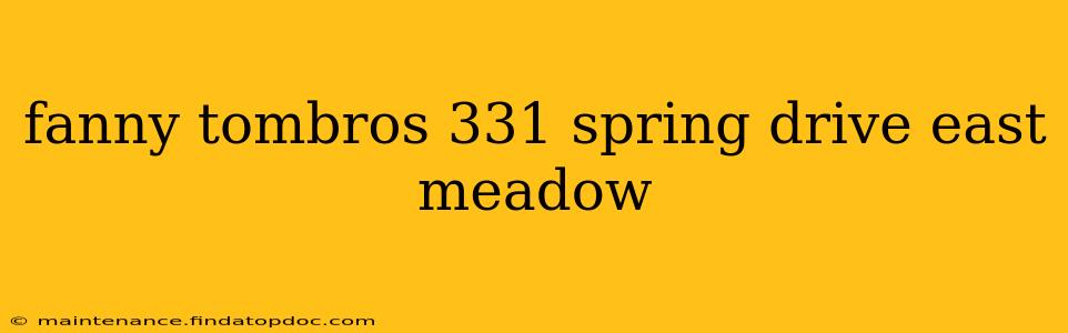 fanny tombros 331 spring drive east meadow