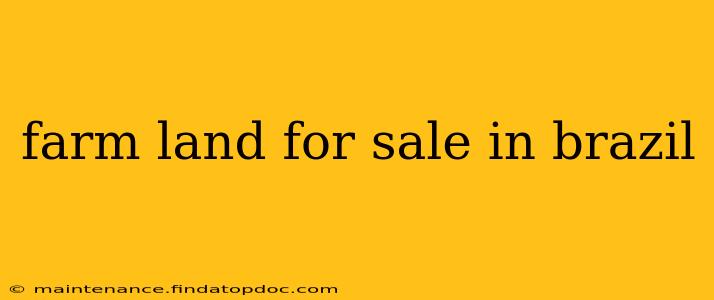 farm land for sale in brazil