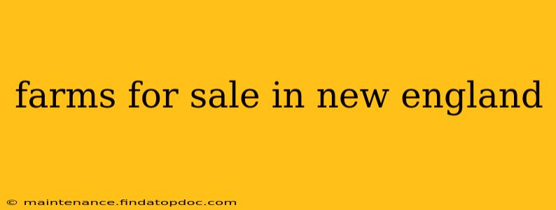 farms for sale in new england