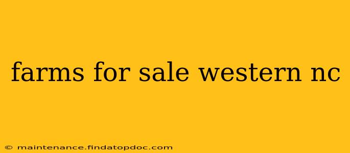 farms for sale western nc