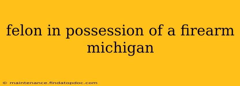 felon in possession of a firearm michigan