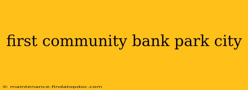 first community bank park city