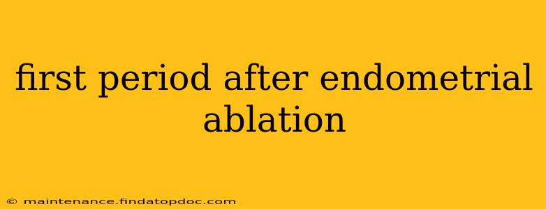 first period after endometrial ablation