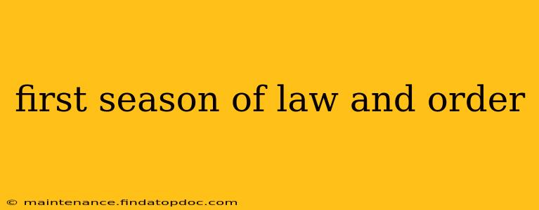 first season of law and order