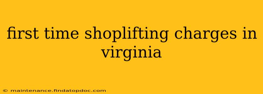 first time shoplifting charges in virginia