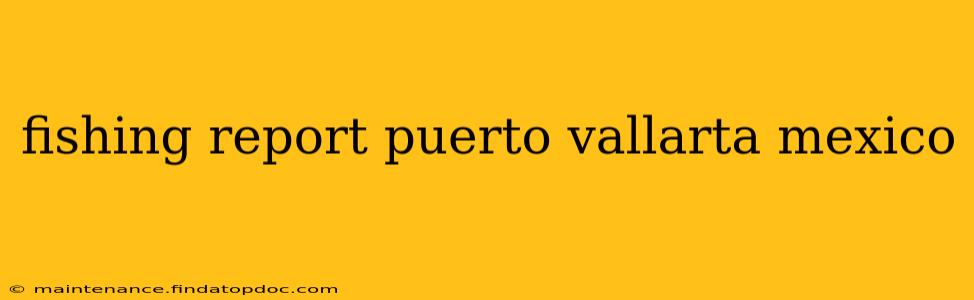 fishing report puerto vallarta mexico