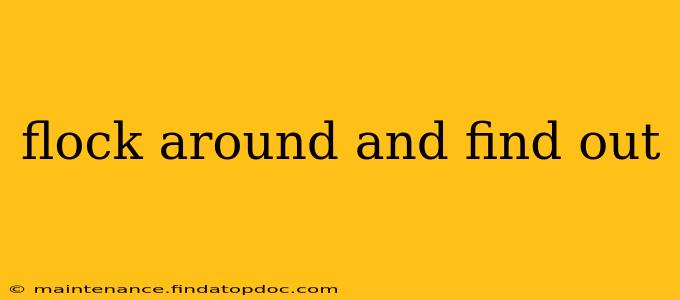 flock around and find out