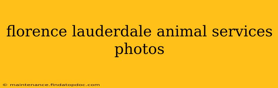 florence lauderdale animal services photos