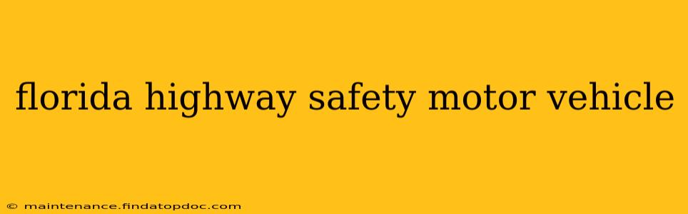 florida highway safety motor vehicle