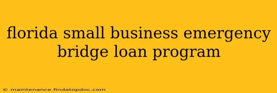 florida small business emergency bridge loan program