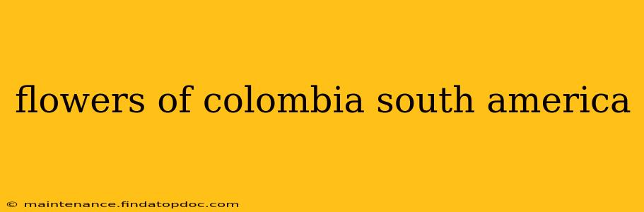 flowers of colombia south america