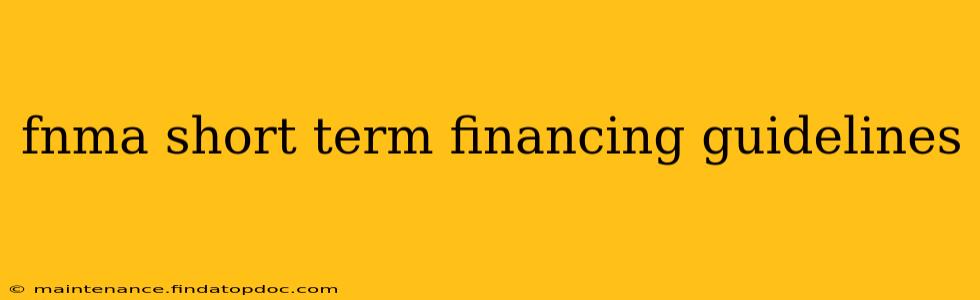 fnma short term financing guidelines