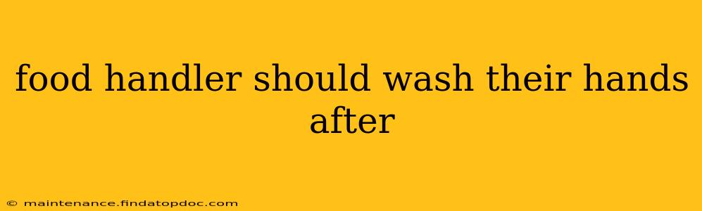 food handler should wash their hands after
