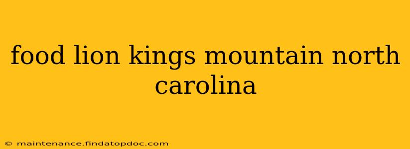 food lion kings mountain north carolina