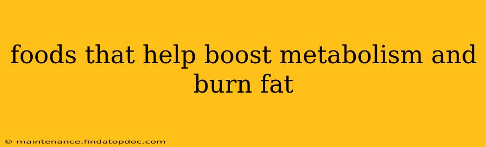 foods that help boost metabolism and burn fat