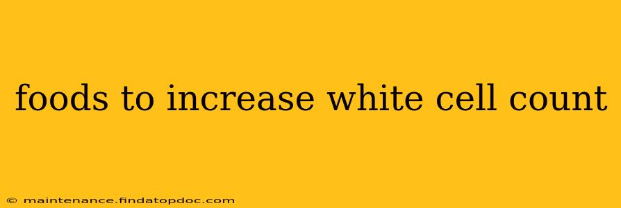 foods to increase white cell count