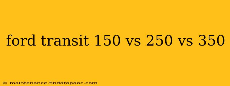 ford transit 150 vs 250 vs 350