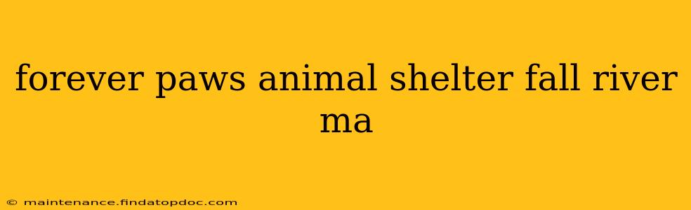 forever paws animal shelter fall river ma