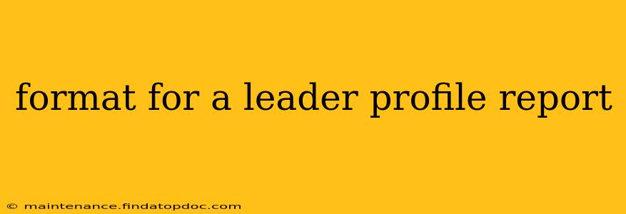 format for a leader profile report