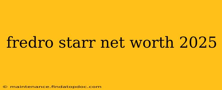 fredro starr net worth 2025