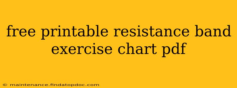 free printable resistance band exercise chart pdf
