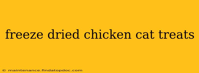 freeze dried chicken cat treats