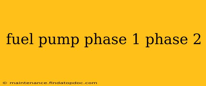 fuel pump phase 1 phase 2