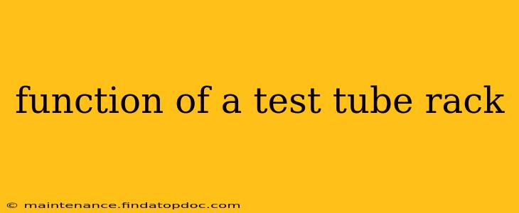 function of a test tube rack