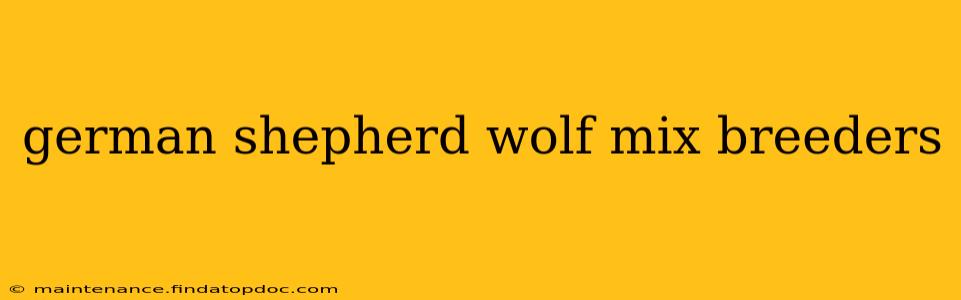 german shepherd wolf mix breeders