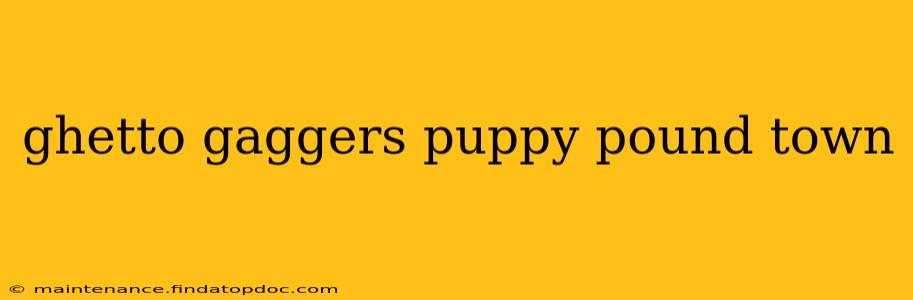 ghetto gaggers puppy pound town ghetto gaggers puppy pound town