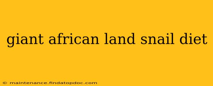 giant african land snail diet