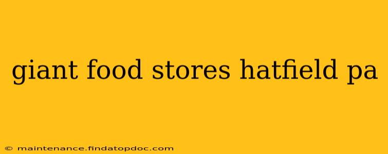 giant food stores hatfield pa