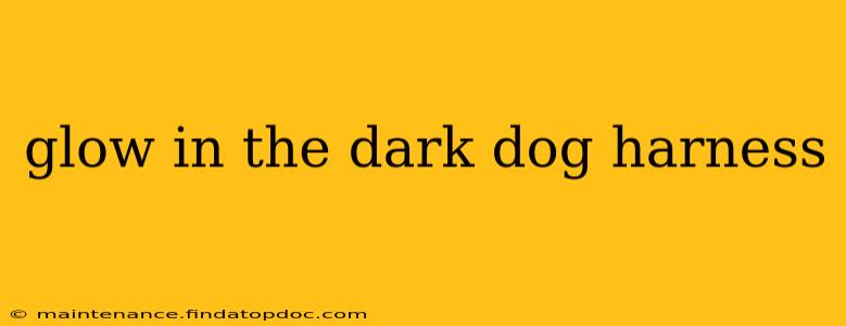 glow in the dark dog harness