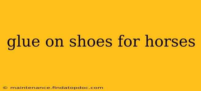 glue on shoes for horses