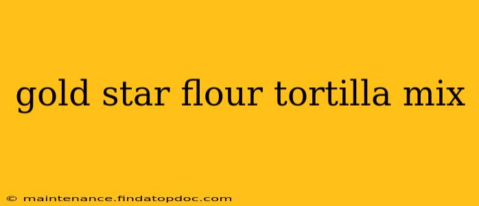 gold star flour tortilla mix