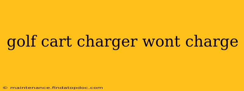 golf cart charger wont charge