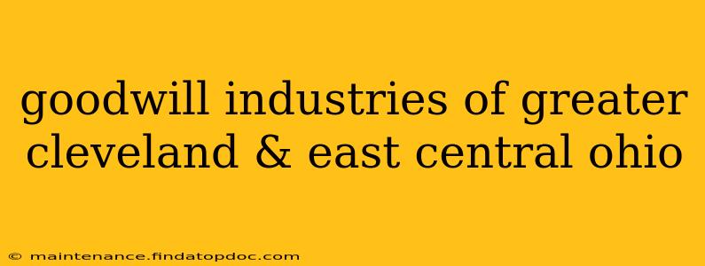 goodwill industries of greater cleveland & east central ohio