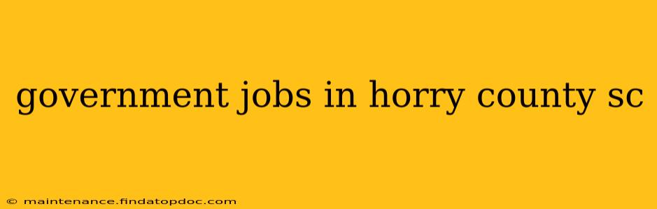 government jobs in horry county sc