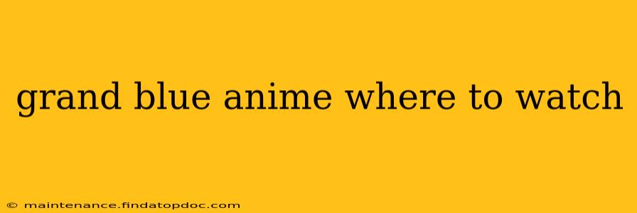 grand blue anime where to watch