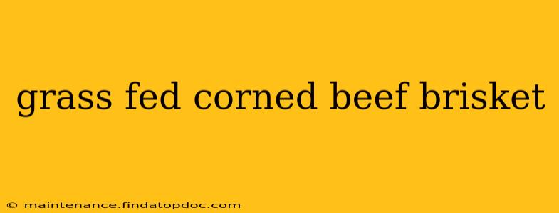 grass fed corned beef brisket
