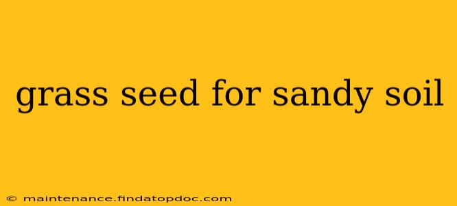 grass seed for sandy soil