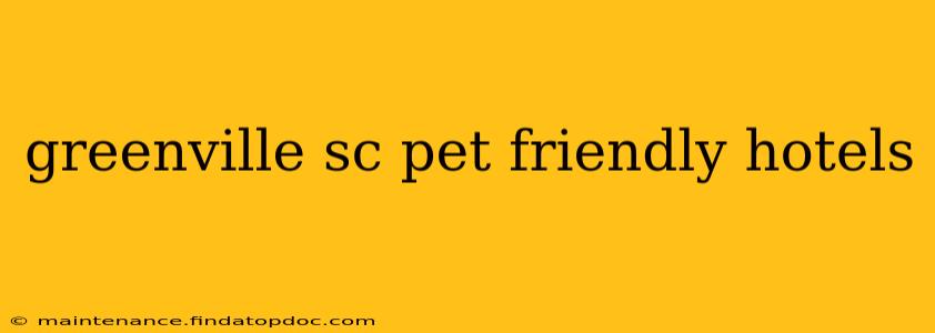 greenville sc pet friendly hotels