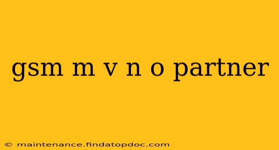 gsm m v n o partner