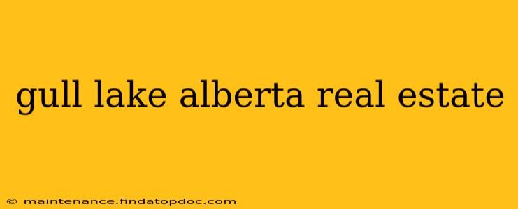 gull lake alberta real estate
