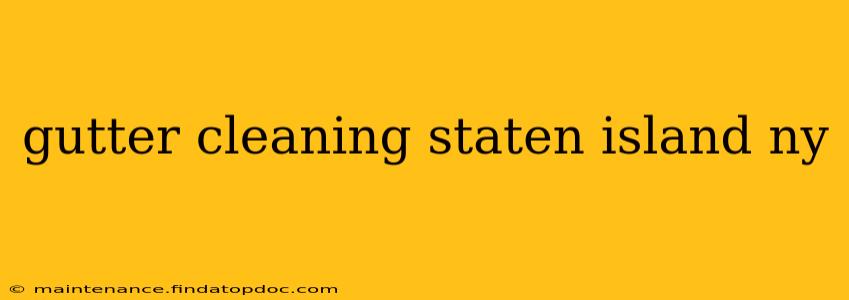 gutter cleaning staten island ny