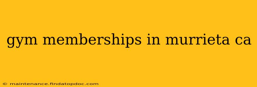 gym memberships in murrieta ca