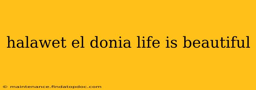 halawet el donia life is beautiful